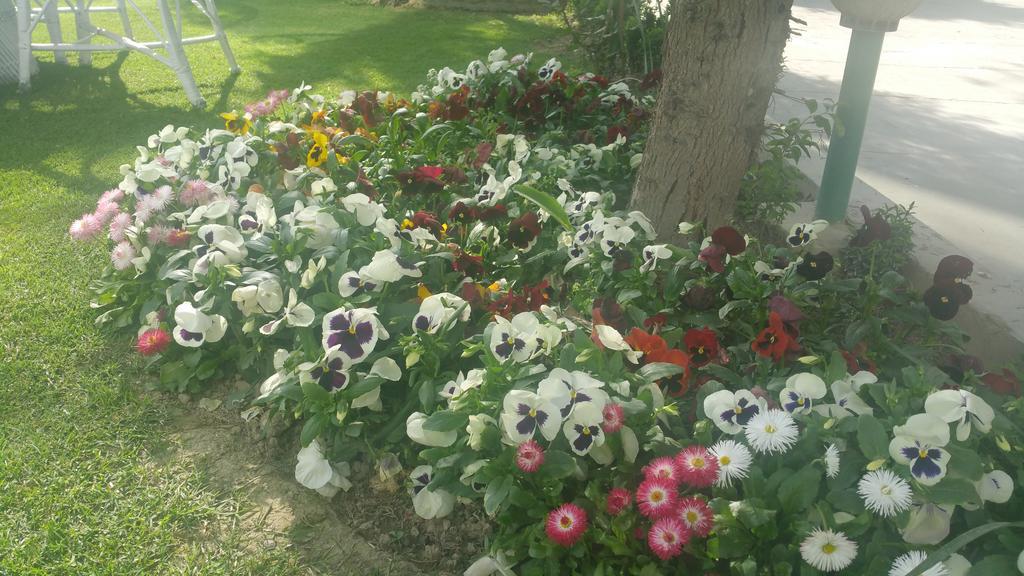 Hotel Mirage Srīnagar Екстериор снимка